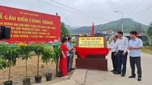 Xã Sơn Dương tổ chức gắn biển công trình tuyến đường kiểu mẫu thôn Đồng Giang