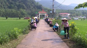 Hội LHPN TP Hạ Long trồng tuyến “ Đường hoa kiểu mẫu” tại xã Sơn Dương
