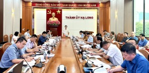 Thường trực Thành uỷ nghe và cho ý kiến vào một số nội dung quan trọng tháng 5/2024