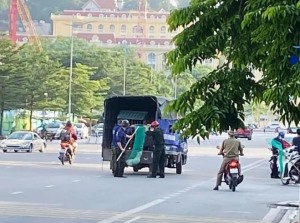 Hạ Long: Bắt chó thả rông để phòng, chống bệnh dại