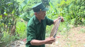 CCB làm kinh tế giỏi