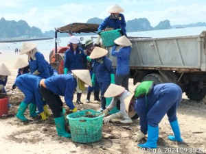 Hạ Long thu gom 112m3 và 7,8 tấn rác do mưa lớn gây ra