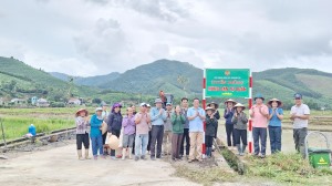 Xã Quảng La ra quân trồng cây xanh xây dựng các tuyến đường kiểu mẫu