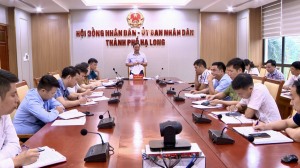 Rà soát, đánh giá công tác quản lý, đầu tư, quy hoạch phát triển chợ trên địa bàn Thành phố