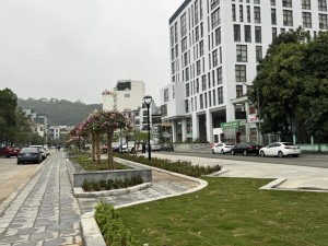 TP Hạ Long: Cương quyết xử lý vi phạm trật tự đô thị