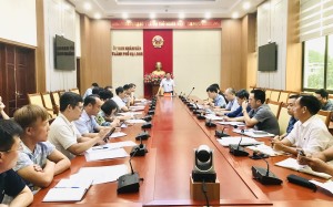 Hết tháng 6, cơ bản các ô đất trống trên địa bàn TP phải được dọn dẹp, đảm bảo mỹ quan đô thị và VSMT