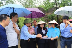 Giám sát việc thực hiện chính sách, pháp luật về quản lý thị trường bất động sản và phát triển nhà ở xã hội tại Hạ Long.