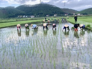 Hội phụ nữ xã Dân Chủ phát động phong trào giúp đỡ hội viên có hoàn cảnh đặc biệt khó khăn