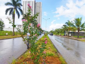 Nhân dân, doanh nghiệp đồng lòng Xây dựng “ Hạ Long – Thành phố của Hoa”
