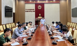 Tiến độ Lễ hội “Vượt sóng Hạ Long – 2024” và Lễ hội Khinh khí cầu “TP Di sản- Sắc màu Hạ Long” năm 2024