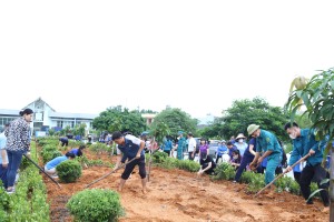Phường Giếng Đáy triển khai thực hiện Đề án “Hạ Long - Thành phố của Hoa” và phong trào “Đường tàu - đường hoa”