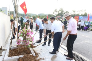 Phường Việt Hưng phát động triển khai 14 tuyến đường hoa 