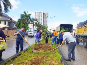Phường Cao Xanh ra quân trồng cây, thực hiện Đề án “Hạ Long – Thành phố của hoa”