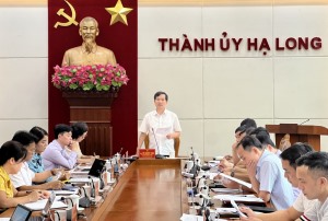 Hạ Long: Tạm đình chỉ công tác Giám đốc Ban Quản lý dự án đầu tư xây dựng thành phố