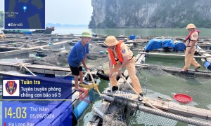 Hạ Long: Huy động gần 1.600 người sẵn sàng ứng phó với cơn bão số 3
