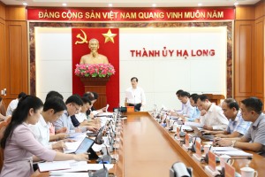 BTV Thành ủy, BCH Đảng bộ Thành phố nghe và cho ý kiến vào một số nội dung quan trọng