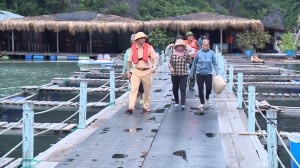 Bão số 3 gây gió mạnh, mưa lớn, Thủ tướng lưu ý người dân hạn chế ra đường