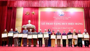 Thành uỷ Hạ Long: Trao huy hiệu Đảng đợt 3/2