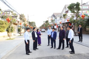Đồng chí Bí thư Thành uỷ kiểm tra công tác trang trí tết