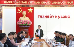 BTV Thành uỷ nghe và cho ý kiến vào một số nội dung theo thẩm quyền