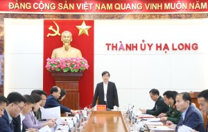 Hạ Long: Quyết tâm rút ngắn tiến độ triển khai các dự án và thời gian giải quyết thủ tục hành chính