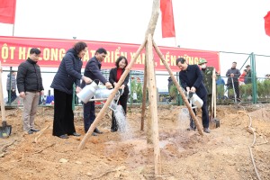 TP Hạ Long phát động tết trồng cây Xuân Ất Tỵ năm 2025