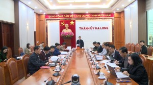BTV Thành uỷ: cho ý kiến dự thảo Báo cáo chính trị trình Đại hội Đảng bộ thành phố Hạ Long lần thứ XXVI, nhiệm kỳ 2025 – 2030