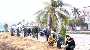 Phường Cao Xanh trồng cây đầu xuân Ất Tỵ 2025