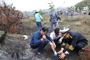 Phường Hà Tu trồng, thay thế 1500 cây xanh, cây có hoa, cây bản địa
