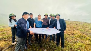 Hạ Long đồng hành cùng doanh nghiệp mở rộng phát triển vùng dược liệu và du lịch sinh thái