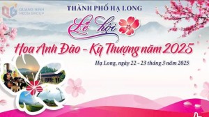 Hạ Long: Sẵn sàng cho lễ hội hoa Anh Đào