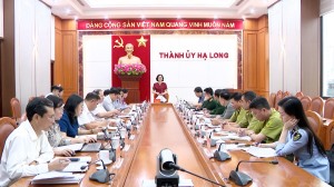 Giao ban công tác nội chính, phòng chống tham nhũng, tiêu cực quý I