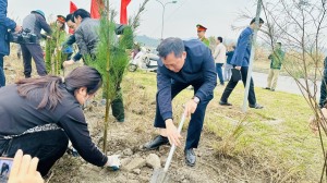 Phường Hà Khánh: Trồng trên 10.000 cây bóng mát dịp Tết trồng cây xuân Ất Tỵ