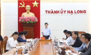 Thường trực Thành ủy giao ban công tác tuần từ 24/2 - 2/3