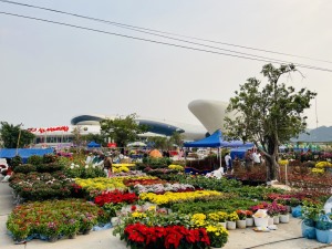 Hạ Long tổ chức 8 điểm chợ hoa xuân phục vụ tết nguyên đán Ất Tỵ 2025