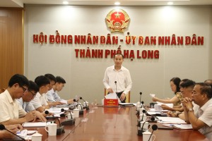 Thông tin kết quả thực hiện kết luận của Thanh tra tỉnh về chấp hành chính sách, pháp luật trong thực hiện một số dự án