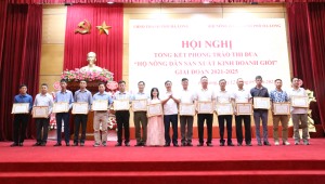 Biểu dương 46 hộ nông dân sản xuất kinh doanh giỏi giai đoạn 2021-2025