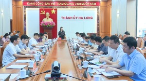 Hạ Long: Chuẩn bị điều kiện tốt nhất Đại hội Đảng bộ các xã, phường sau khi thực hiện sắp xếp