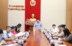 Họp triển khai BCĐ tuyển sinh lớp 10 THPT và thi tốt nghiệp THPT năm 2025