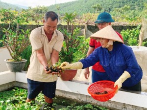 Xã Quảng La đẩy mạnh phong trào nông dân sản xuất, kinh doanh giỏi